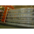 Steel Frame Chicken Poultry Equipment Cage for Chicken